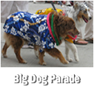 Santa Barbara Big Dog Parade