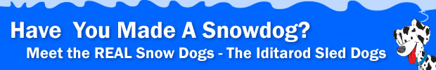 Meet the REAL Snow Dogs – The Iditarod Sled Dogs